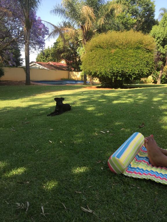 Khuvena Guesthouse Randburg Dış mekan fotoğraf
